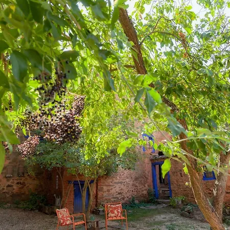 Cura (en La Casa Del Arzipreste)